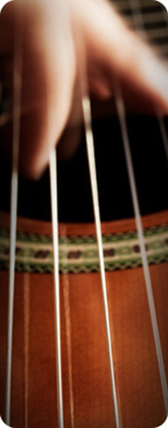 Pinnacle Scorefitter Volume 1 Serial Pinnacle Scorefitter Volume 1 Serial